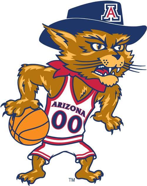 Arizona Wildcats 2003-Pres Mascot Logo t shirts DIY iron ons v5